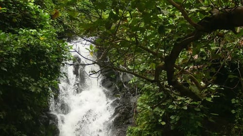 Fließender Wasserfall im Wald