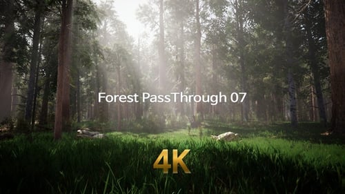 Forest Pass Through 4K 07