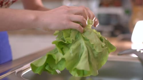Preparing Fresh Salad in the Kitchen Sink