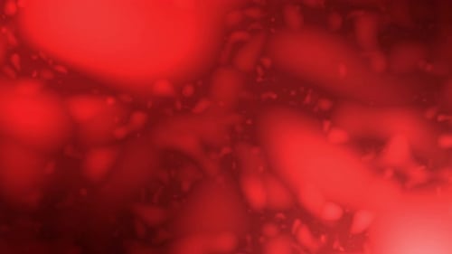 Abstract Red Fluid Organic Loopable Motion Background