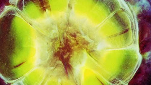 Abstract Paint Swirls with Gold Shimmering