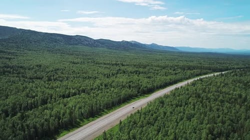 Luftaufnahme eines Intercity-Highway mit Verkehr durch einen grünen Kiefernwald bei strahlendem Sonnenschein