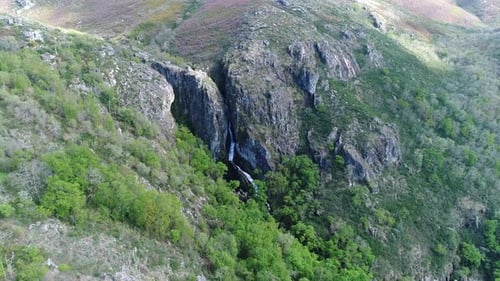 Spring Nature Aerial