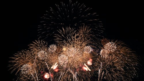 Fireworks Bursting in Dark Night Sky for Celebrations