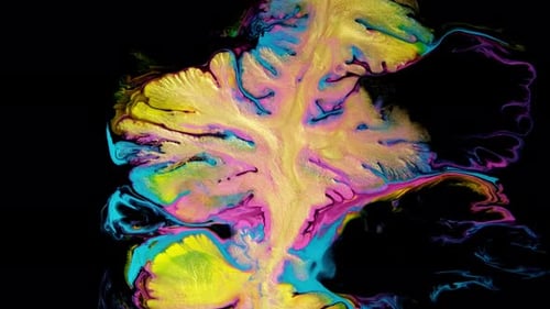 Colorful Abstract Paint Swirl on Black Background