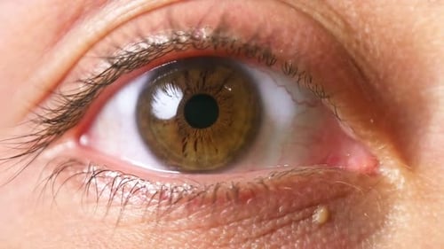 Extreme Close Up of Eye Blinking
