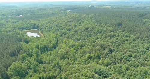 Aerial landscape panorama, water pond in a forest lake with green forests trees