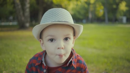 Portrait of a Boy of Two Years in a Hat and Shirt in the Park.