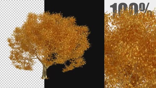 Rotating Golden Tree Elegant 3D Render Animation