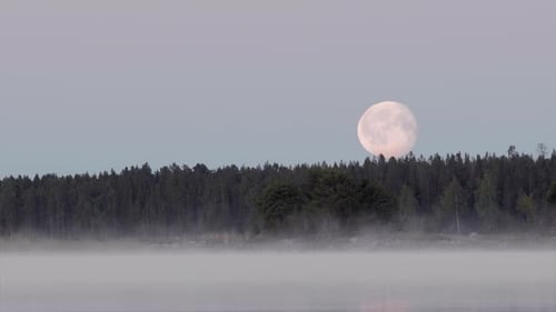 Moonrise