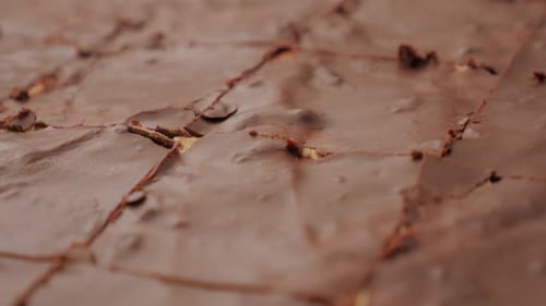 Close Up View of Chocolate Dessert Squares