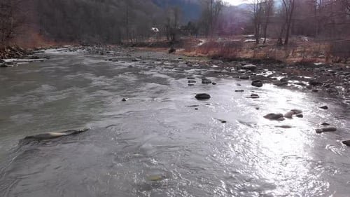 Volando sobre un río de montaña salvaje que fluye con rocas de piedra y rápidos