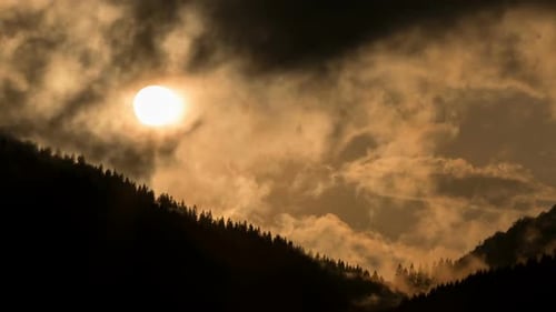 Geheimnisvoller Sonnenuntergang über dem dunklen Wald