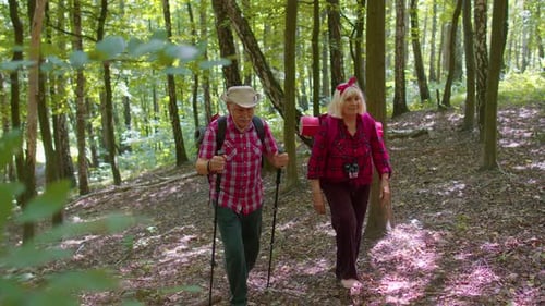Active Senior Couple Hiking Through Forest