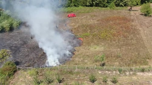 Fire on meadow. Day on summer and spring,