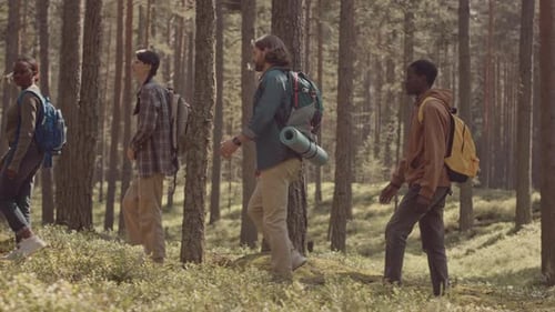 Multiethnic Friends Hiking in Forest