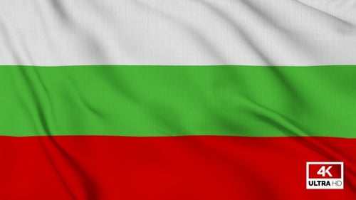 Realistic Bulgaria Flag Waving Seamless Loop Background