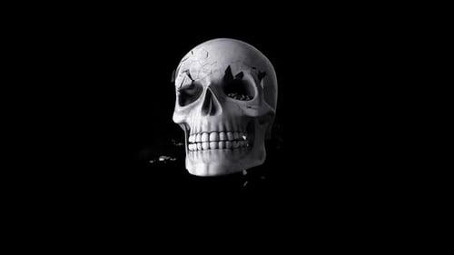 Skull