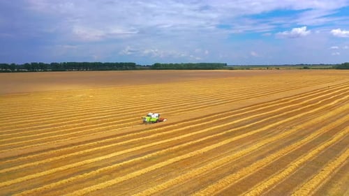 Harvesting Machine Working in the Field