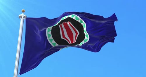 Realistic Waving Flag Animation with Distinct Emblem Design