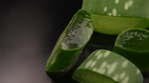 Aloe Vera Plant Slices Close Up