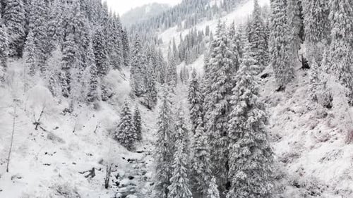 River in the Winter Snow Forest in the Mountains