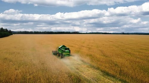 Drone aerial flying over combine harvester working on wheat field