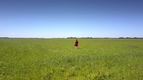 Confident Girl in Red Dress Walks on Green Grass Aerial View