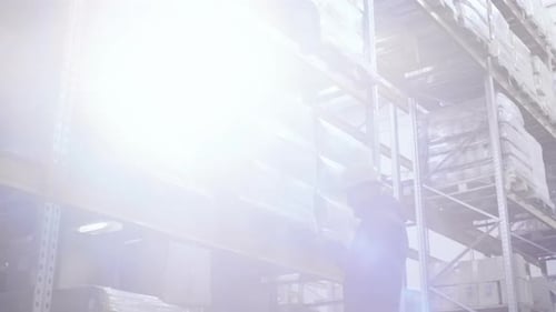 Warehouse Employee Checking Inventory