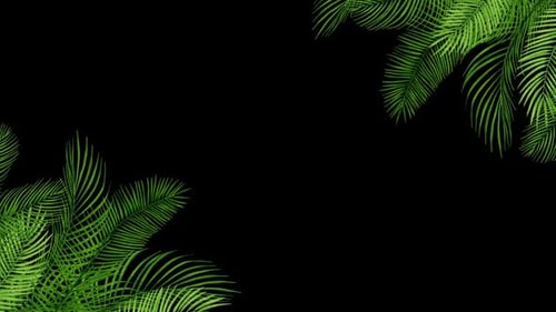 Animated Tropical Palm Leaves Frame Overlay