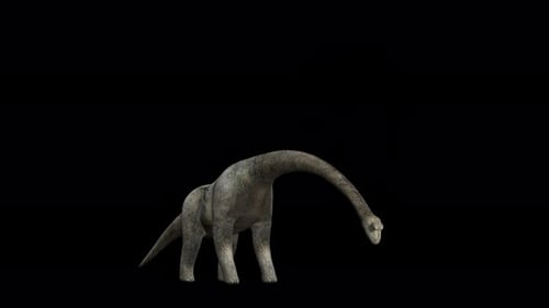 3D Animated Brachiosaurus Lowering and Raising Neck