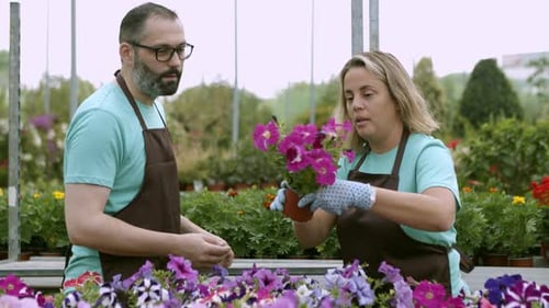 Two Gardeners Working Together in a Greenhouse