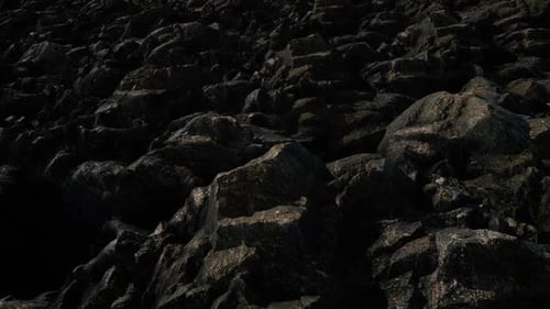 Rocas del bosque oscuro grungy Cinemática