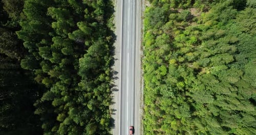 Highway And Forest