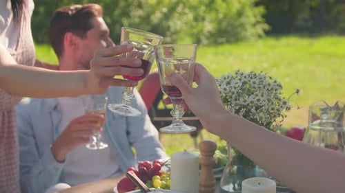 Friends Toasting Wine Glasses During Outdoor Meal