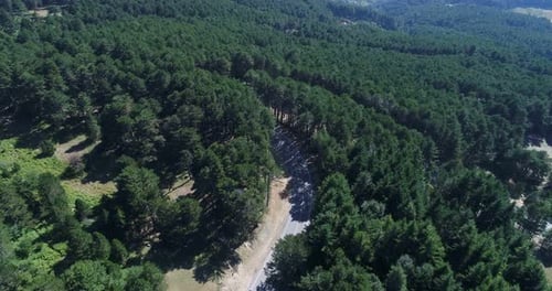 Vue aérienne de la forêt