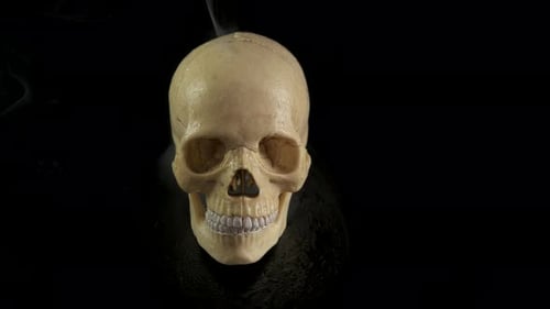 Shocked skull.