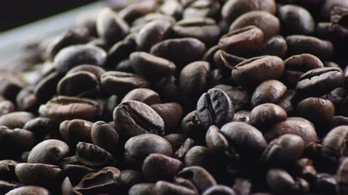 Close up of Roasted Coffee Beans