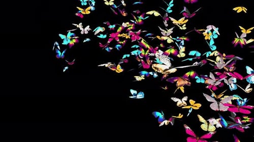 02 Schmetterling 4K