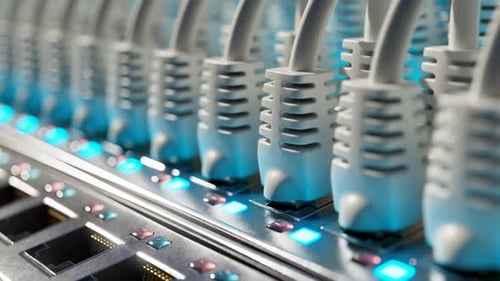 Seamless Digital Data Network with Blinking Server Lights