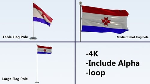 Realistic Waving Flag Animation with Alpha Channel and Three Pole Lengths