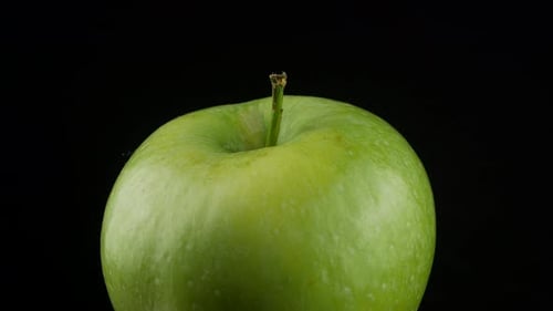 Green Apple Reinette Simirenko