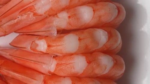 Camarones 07
