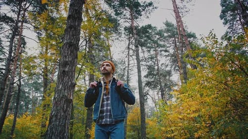 Junger männlicher Backpacker, der im Wald spaziert, genießt schöne Herbstnatur Zeitlupe