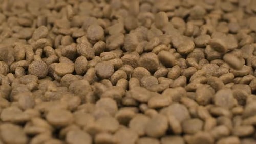 Dry granulated dog or cat food fall into pile in shallow Dof - Slow motion Close up