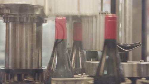 Garrafas de vinho tinto em uma correia transportadora em uma fábrica de engarrafamento de vinho.