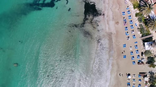 Top View of Sandy Beach on Shores of Crystal Clear Sea with Sun Loungers and Guests