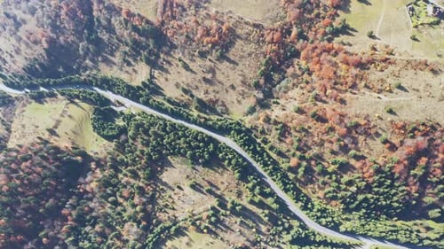 Cars Drive Along the Highway Into the Distance of the Carpathian Mountains in a Fir Forest in
