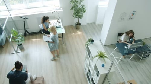 High Angle View of Employees Men and Women Working in Office Talking Walking Using Computers
