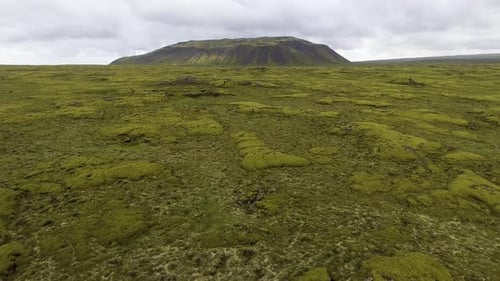 Aerial View of Mossy Lava Field in Iceland